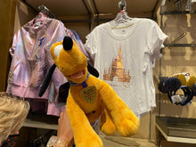 Cargar imagen en el visor de la galería, 50th Celebration Pluto Plush
