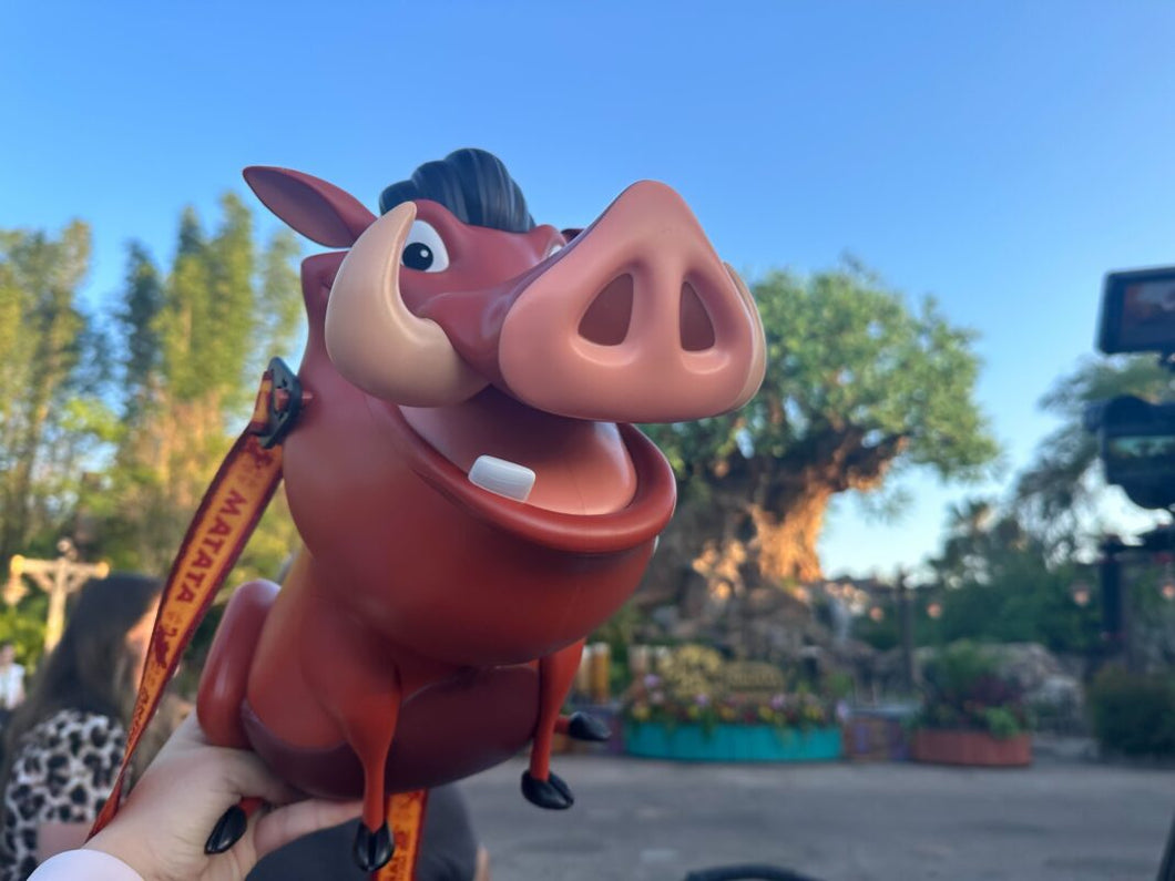 Lion King Popcorn Bucket Arrives at Disney's Animal Kingdom