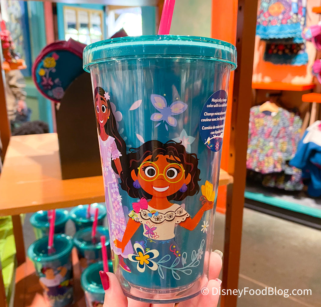 Encanto Tumbler with Straw