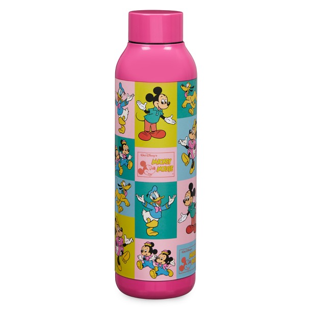 Mickey Mouse and Friends Stainless Steel Water Bottle