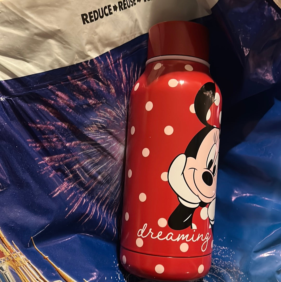 Minnie Mouse Stainless Steel Water Bottle